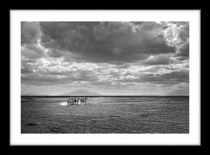 24 x 36 in., edition of 15